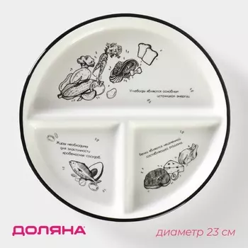 Тарелка для правильного питания Доляна «Гарвадская №1», d=23 см, 3 секции, фарфор, белая
