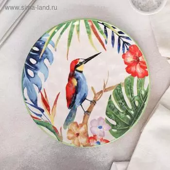 Тарелка «Колибри», d=22 см, цвет разноцветный
