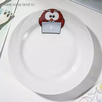 Тарелка мелкая «Совушки», d=20 см, МИКС