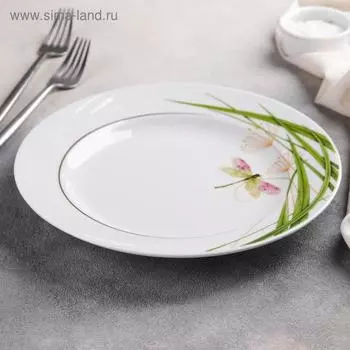 Тарелка мелкая «Стрекоза», d=24 см
