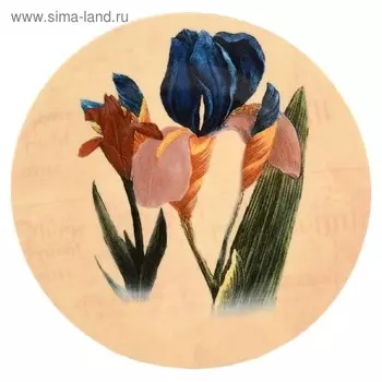 Тарелка настенная «Ирис», 27 см