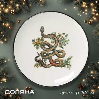 Тарелка Доляна «Василиск», 16.716.72 см