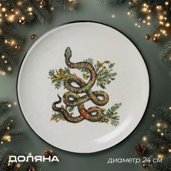 Тарелка Доляна «Василиск», 24242.5 см