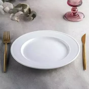 Тарелка обеденная, d=23 см