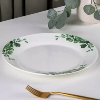 Тарелка обеденная Доляна «Эвкалипт», d=25,3 см