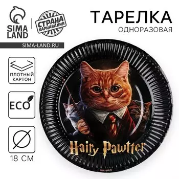Тарелка одноразовая бумажная "Happy Birthday", волшебный кот, 18 см