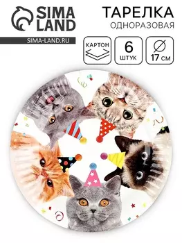 Тарелка одноразовая «Котики», 17 см 6 шт.