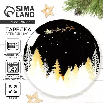 Тарелка плоская новогодняя «Новогодняя ночь», d=20 см