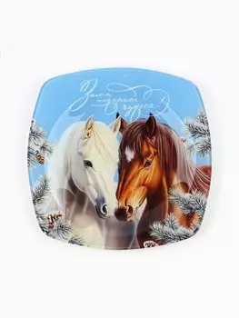 Тарелка плоская новогодняя «Зима подарит чудеса», 2020 см