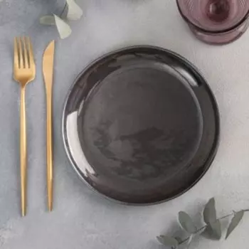 Тарелка плоская «Сталь», d=19 см