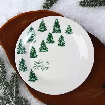 Тарелка плоская новогодняя «Подарит сказку», d=20 см
