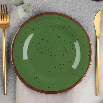 Тарелка фарфоровая Punto verde, d=20 см