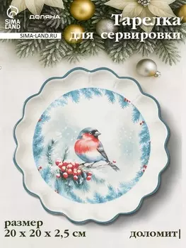 Тарелка сервировочная новогодняя Доляна «Зимний вечер», 20202.5 см, доломит, белая