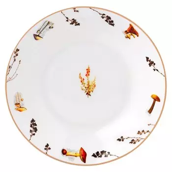 Тарелка суповая Zapel Mushroom, d=21 см