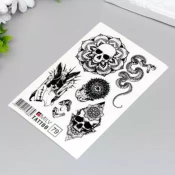 Татуировка на тело "Череп, змея" 10х15 см