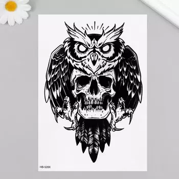 Переводная тату на тело чёрная «Филин и череп», 2114.8 см