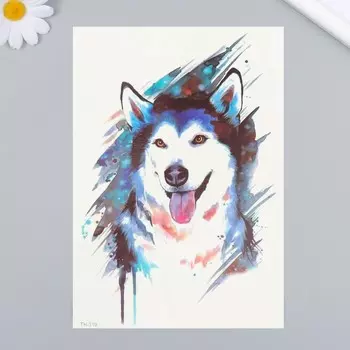 Переводная тату на тело цветная «Хаски», 2114.8 см