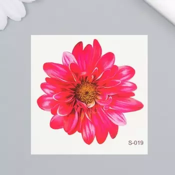 Переводная тату на тело цветная «Хризантема», 66 см