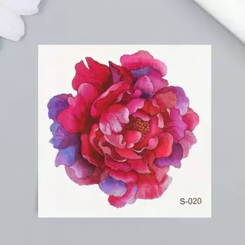 Татуировка на тело цветная "Пионовидная роза" 6х6 см