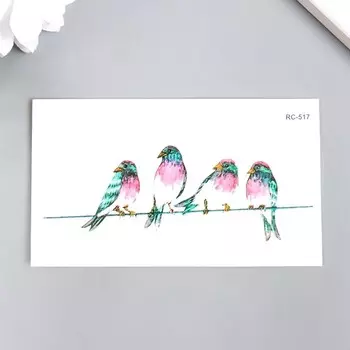 Татуировка на тело цветная "Птицы на проводах" 10,5х6 см