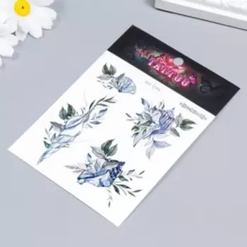 Татуировка на тело цветная "Ракушки с растениями" 10,5х12 см