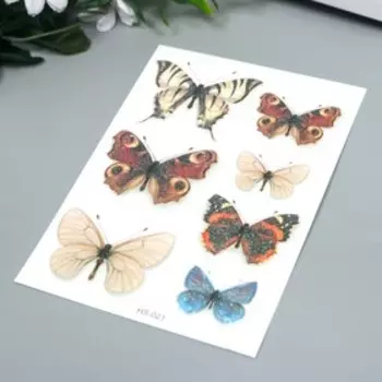 Татуировка на тело цветная с блёстками "Бабочки" 14,7х10,5 см