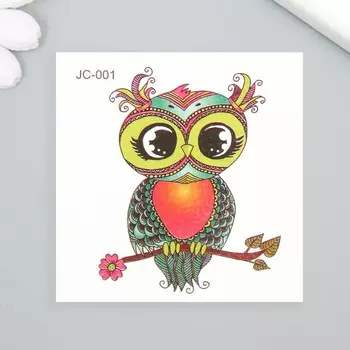 Переводная тату на тело цветная «Совушка на ветке с цветком», 66 см