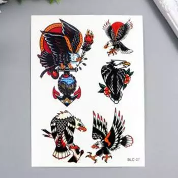 Татуировка на тело цветная "Ястреб/Оружие" МИКС 15х11 см