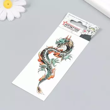 Татуировка на тело "Дракон" 5,6х12 см