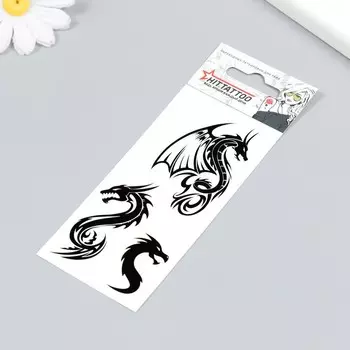 Татуировка на тело "Драконы" 5,6х12 см