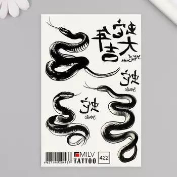 Татуировка на тело "Иероглифы, змеи" 10х15 см