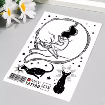 Татуировка на тело "Котики" 10х15 см