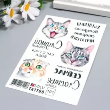 Татуировка на тело "Котики" 10х15 см