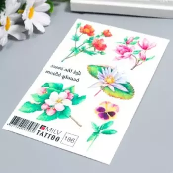 Татуировка на тело "Красота" 10х15 см