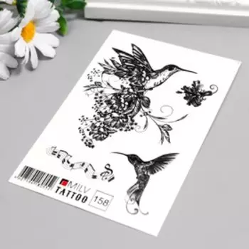 Татуировка на тело "Музыка души" 10х15 см