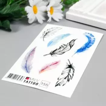 Татуировка на тело "Перья" 10х15 см