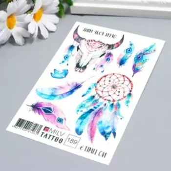 Татуировка на тело "Перья" 10х15 см