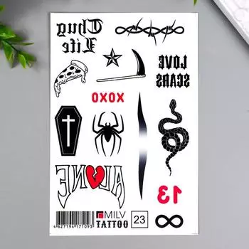 Татуировка на тело "Разное" 10х15 см