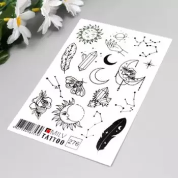 Татуировка на тело "Разное" 10х15 см