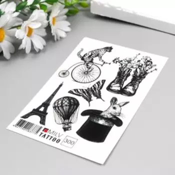 Татуировка на тело "Разное" 10х15 см