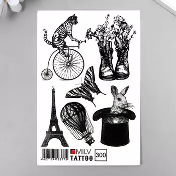 Татуировка на тело "Разное" 10х15 см