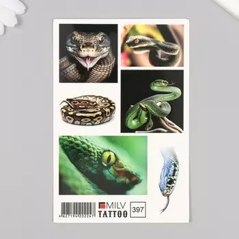 Переводные тату на тело «Змеи», 1015 см