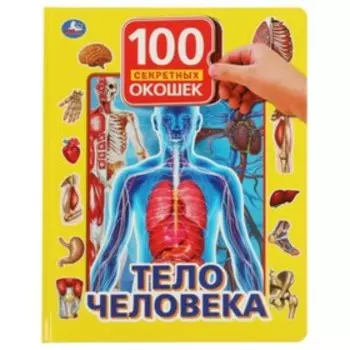 Тело человека