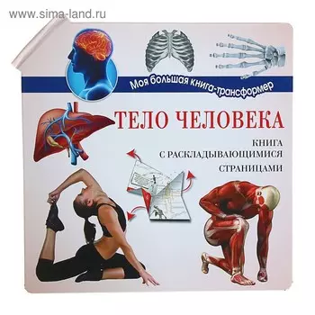 Тело человека