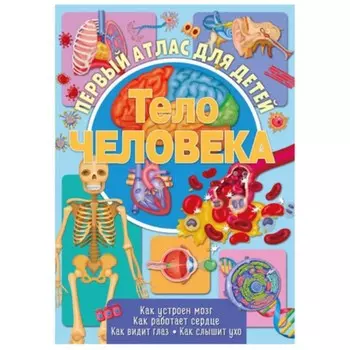 Тело человека. Барсотти И.