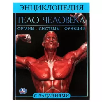 Тело человека, диплом в подарок