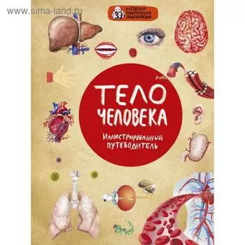 Тело человека. Лукашанец Д. А.