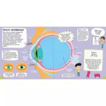 Тело человека. Моя первая энциклопедия