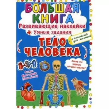 Тело человека. Развивающие наклейки. Умные задания