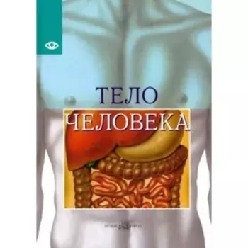 Тело человека. Виге Ж.